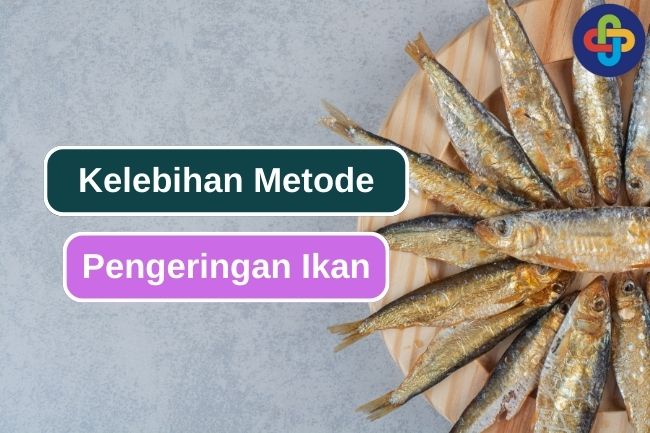 5 Alasan Pengeringan Ikan Adalah Pengawetan Yang Tepat